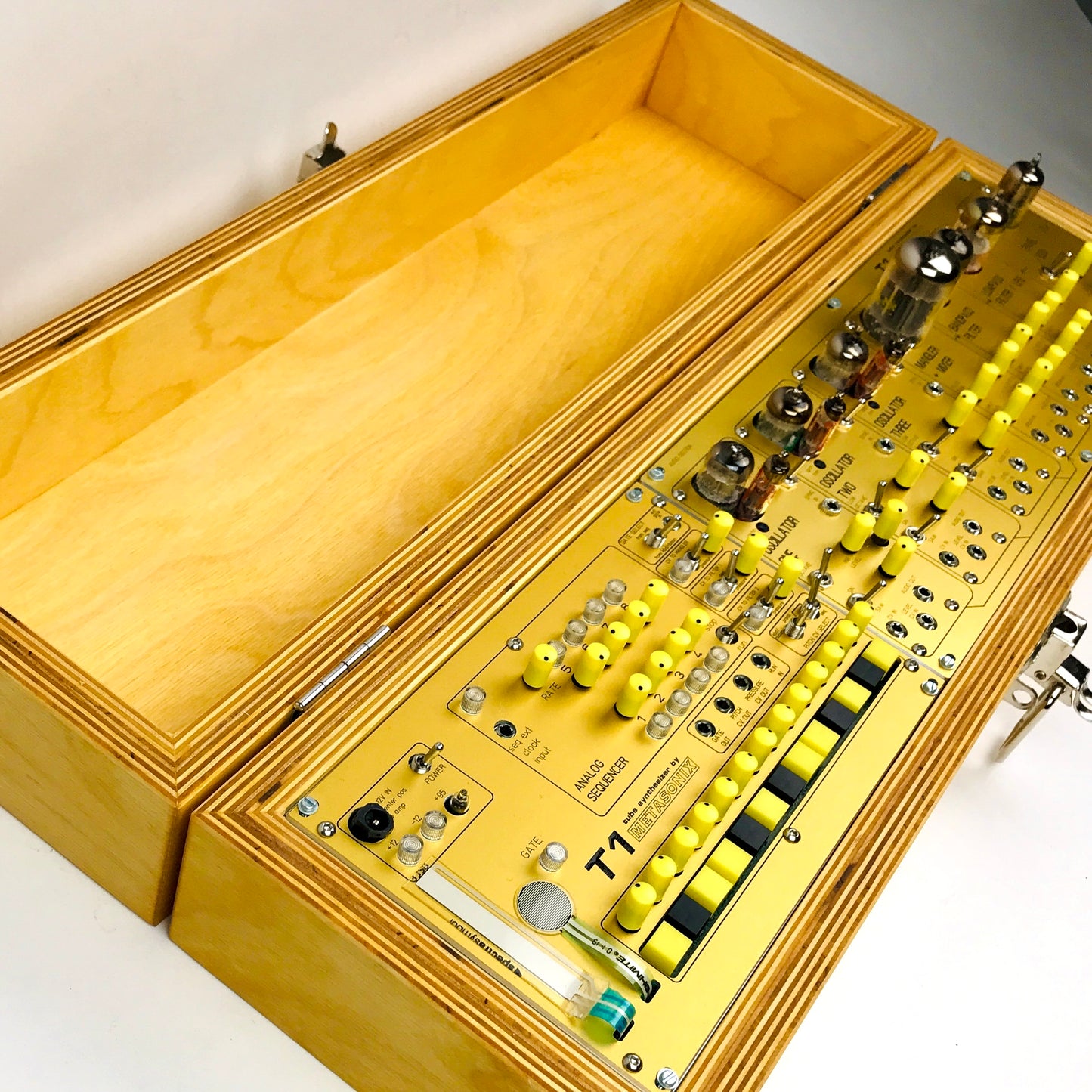 Metasonix T1 Vacuum Tube synth #4 of 10 made