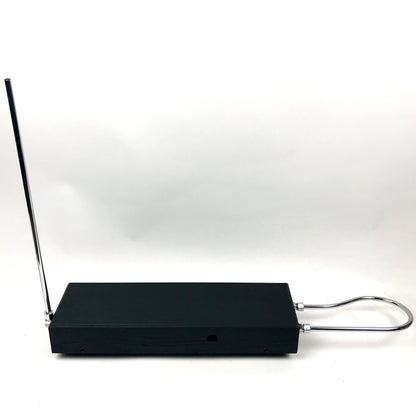 Moog Etherwave Theremin, mint condition!