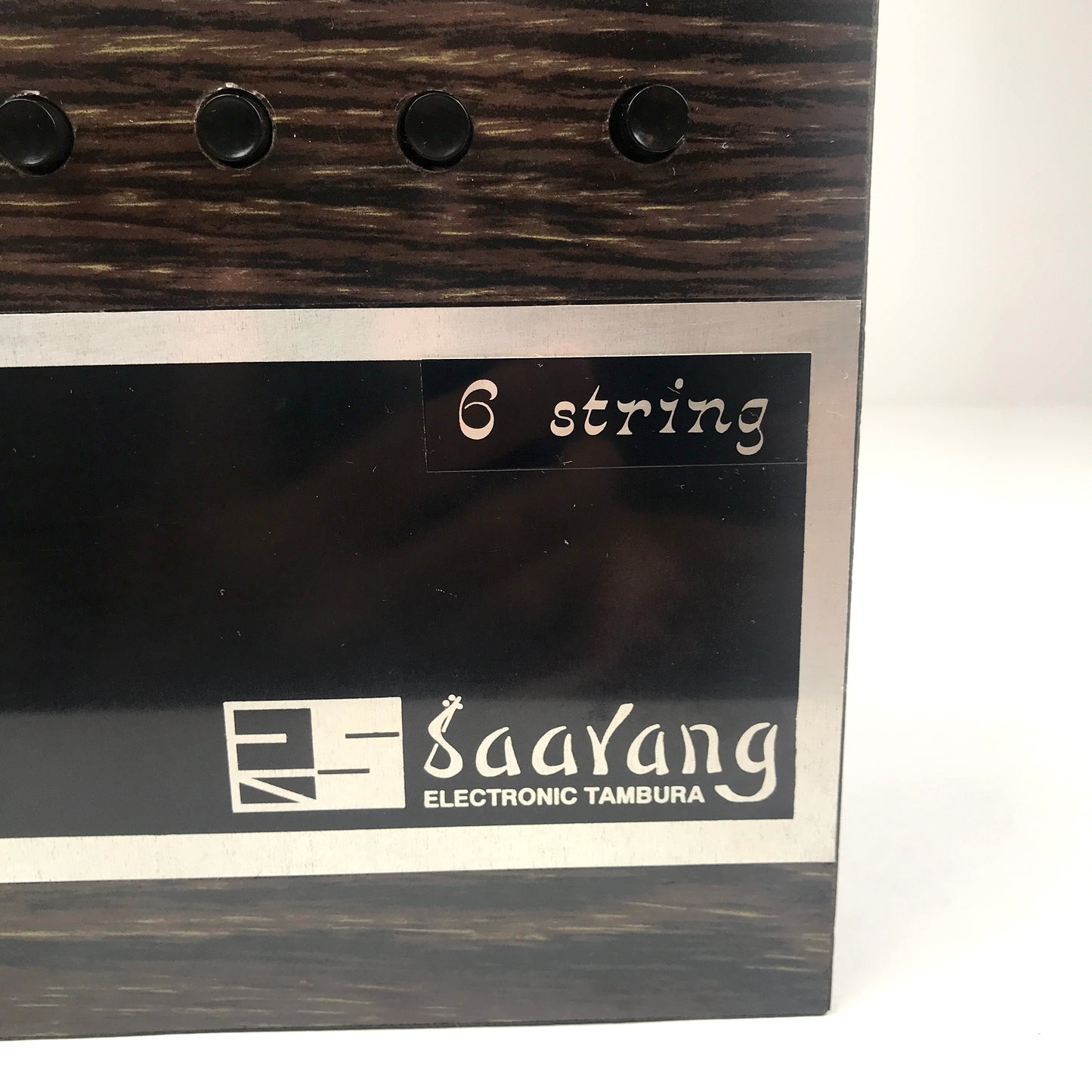 Radel Saarang Electronic Tambura