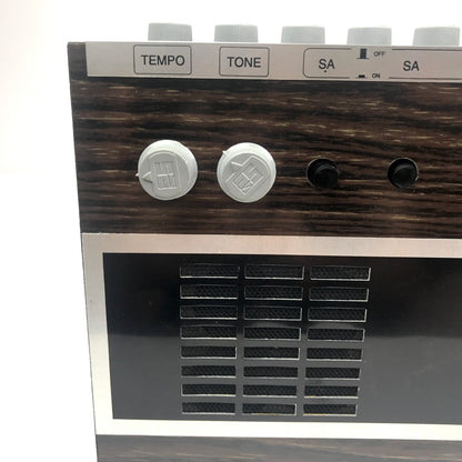 Radel Saarang Electronic Tambura