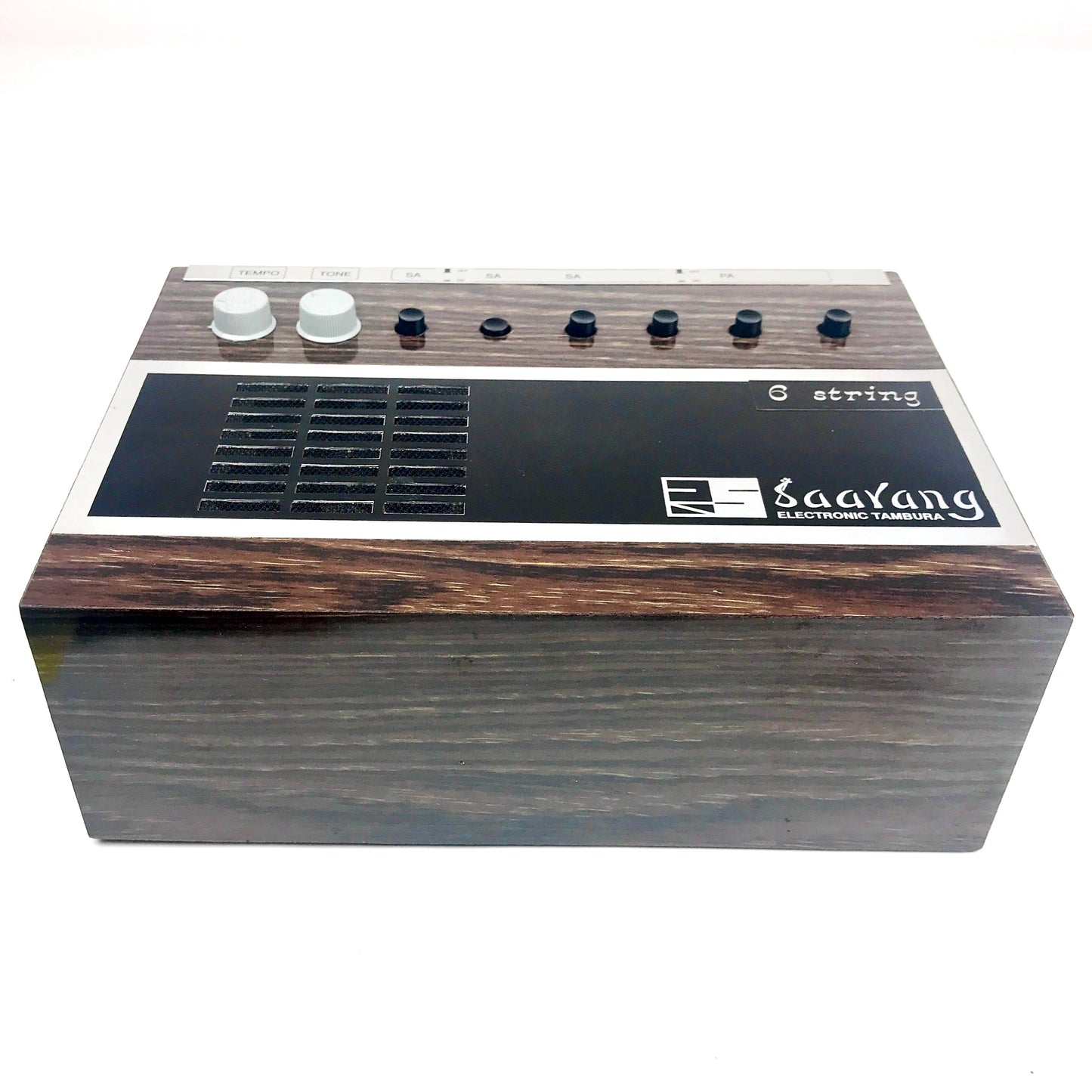 Radel Saarang Electronic Tambura