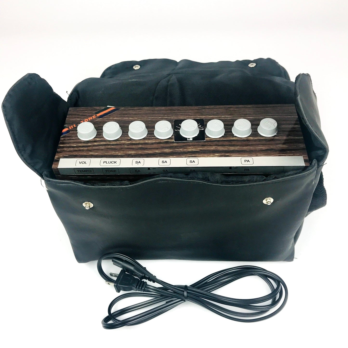Radel Saarang Electronic Tambura
