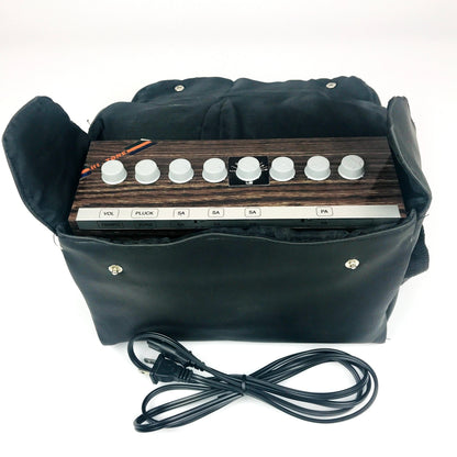 Radel Saarang Electronic Tambura