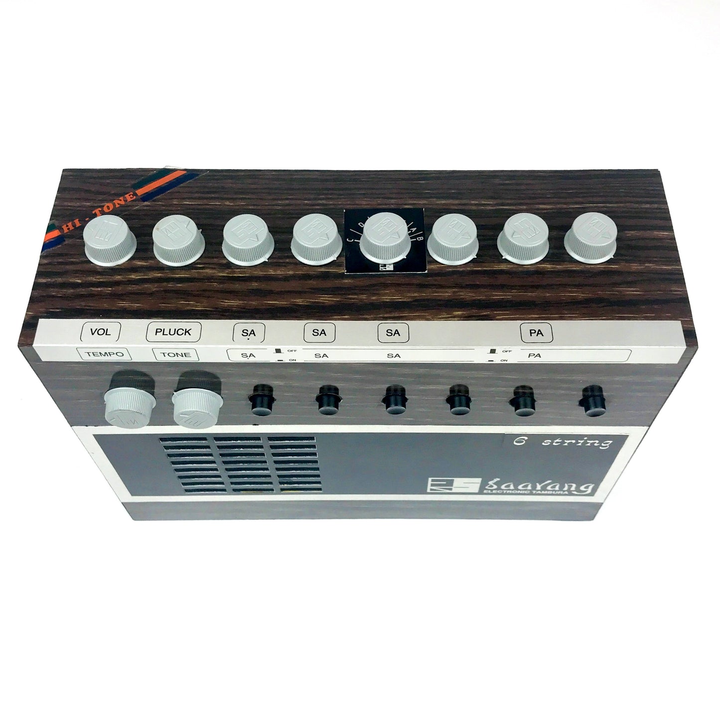 Radel Saarang Electronic Tambura
