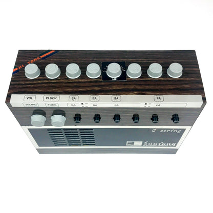 Radel Saarang Electronic Tambura