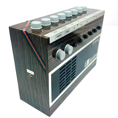 Radel Saarang Electronic Tambura