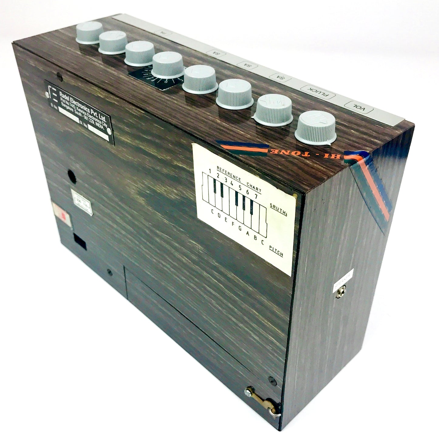 Radel Saarang Electronic Tambura