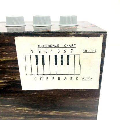 Radel Saarang Electronic Tambura