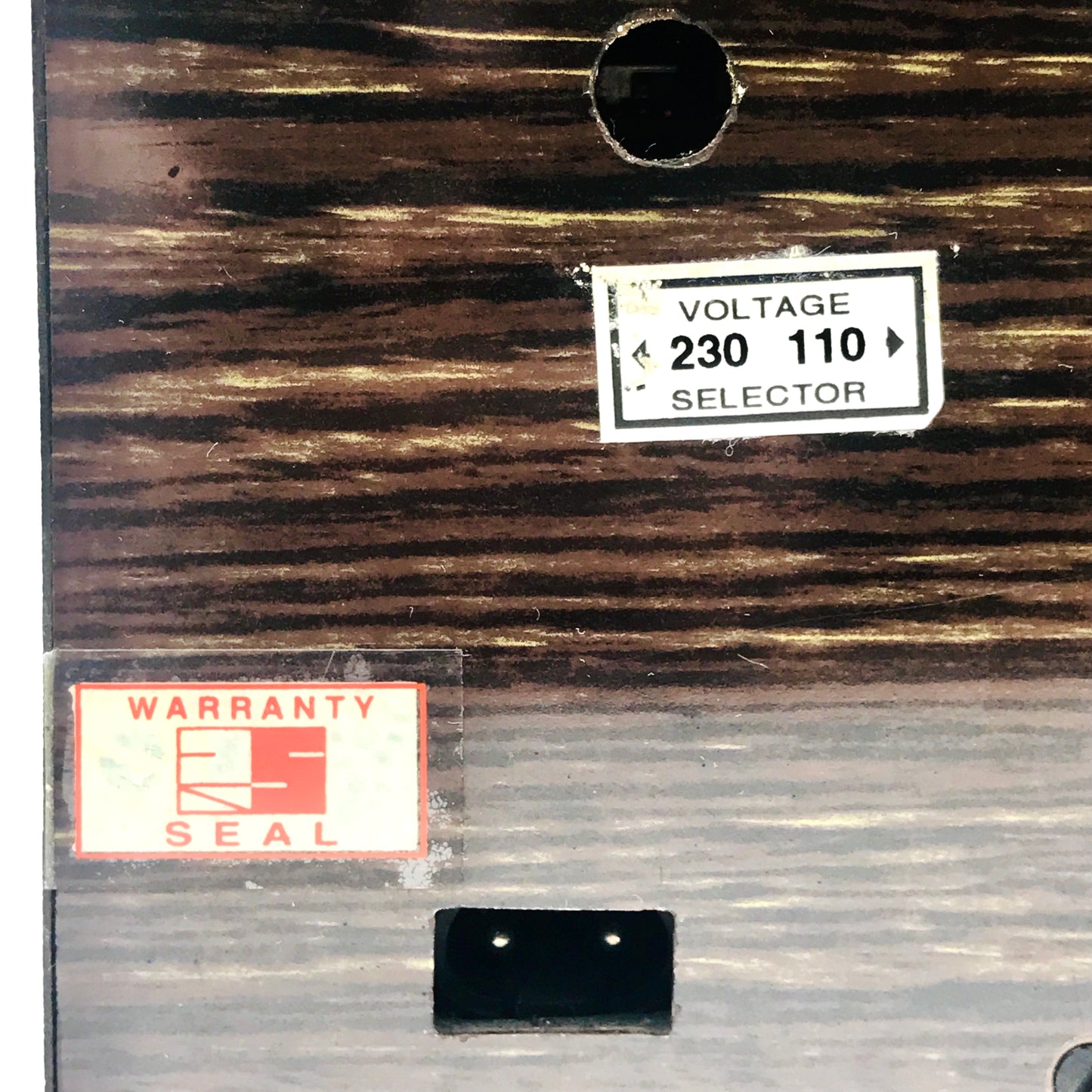 Radel Saarang Electronic Tambura