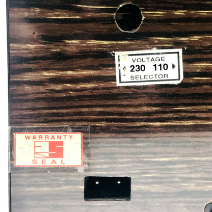 Radel Saarang Electronic Tambura