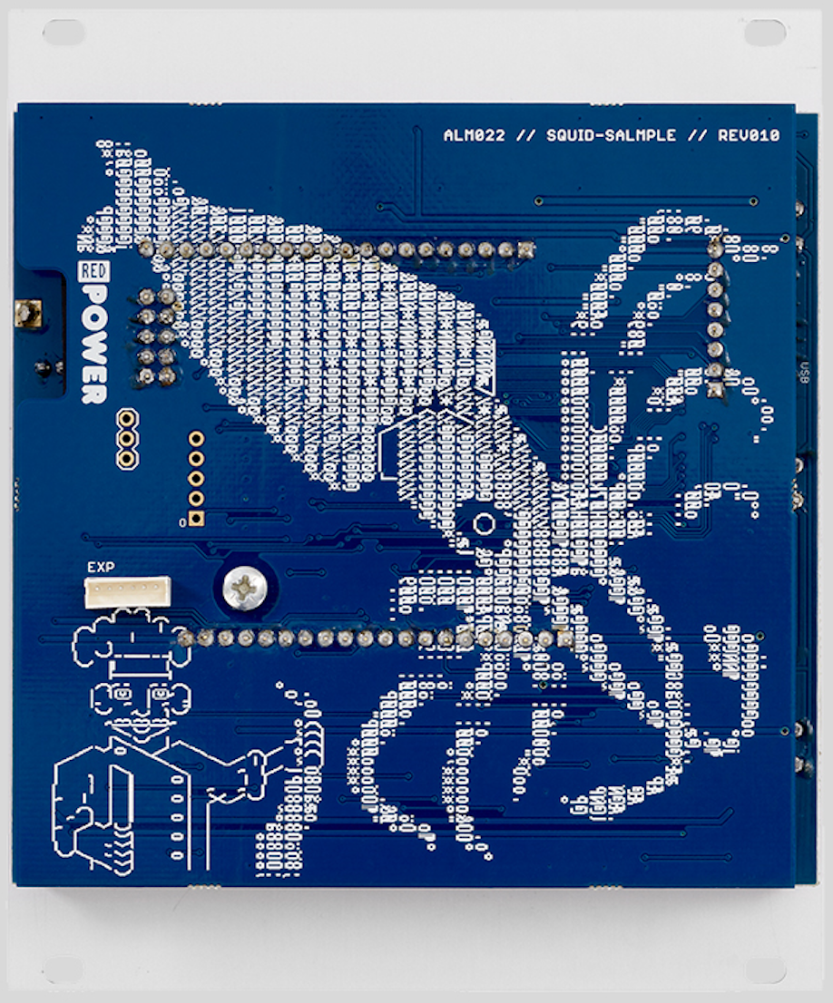 ALM Busy Circuits Squid Salmple – Big City Music