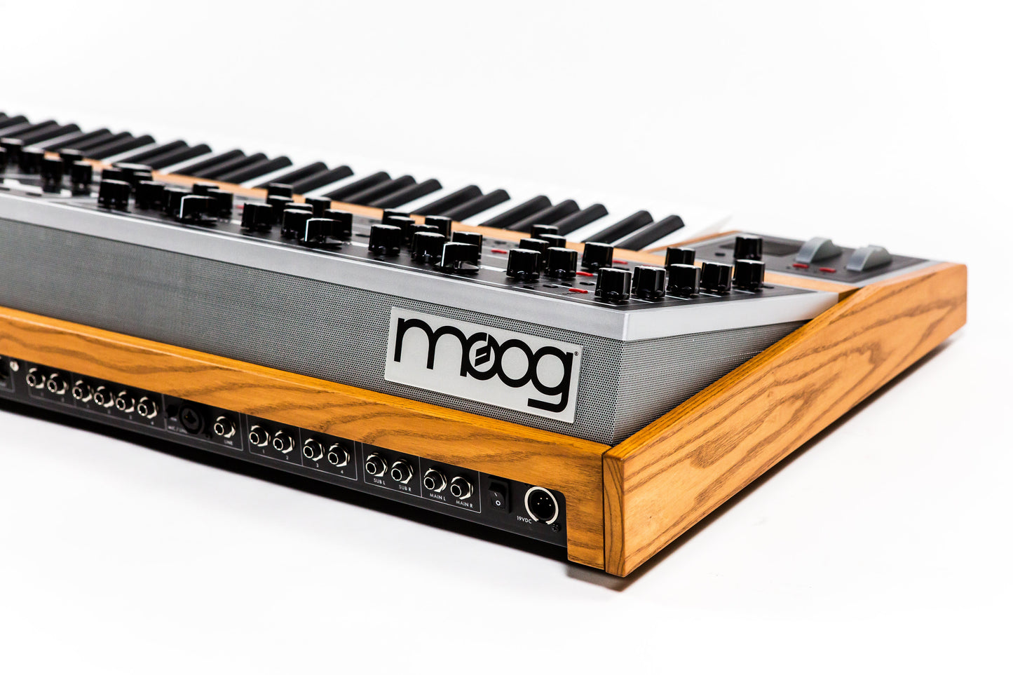 Moog One Back
