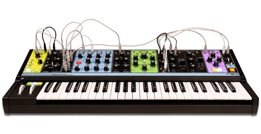Matriarch 4-Note Paraphonic Analog Synthesizer