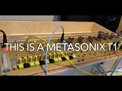 Metasonix T1 Vacuum Tube synth #4 of 10 made